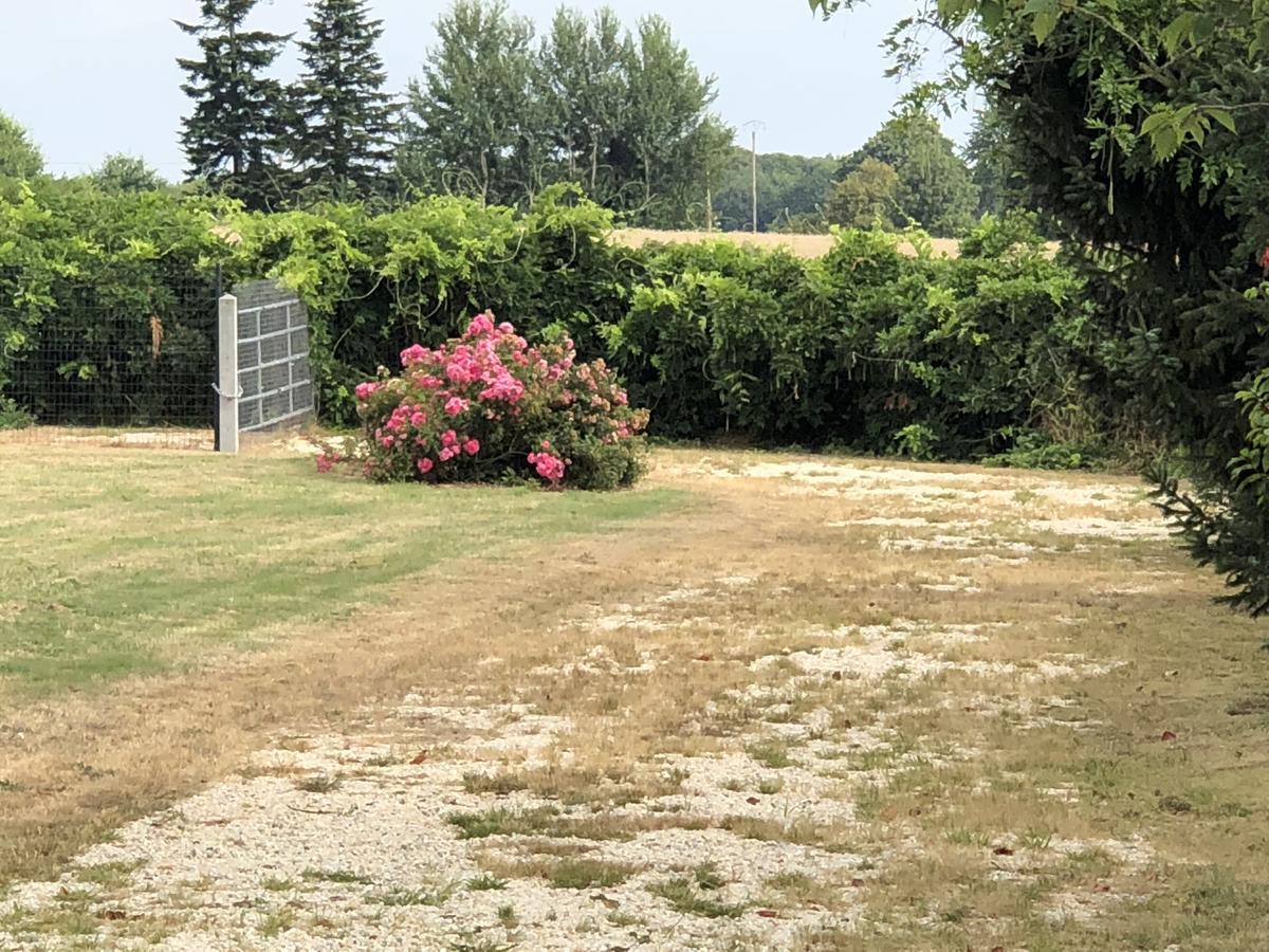 فندق La Cle Des Champs Le Teilleul المظهر الخارجي الصورة